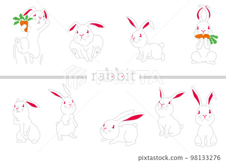 2023 zodiac rabbit design 21A 98133276