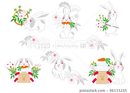 2023 zodiac rabbit design 22B 98133285