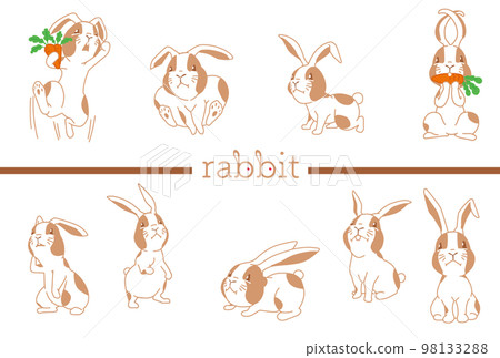 2023 Zodiac Rabbit Design 21D 2023 Zodiac Rabbit Design 21D 98133288