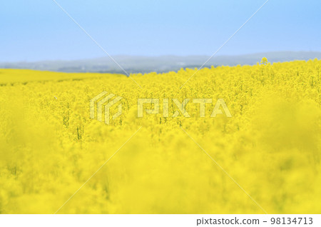 強姦花田和藍天在一邊 98134713