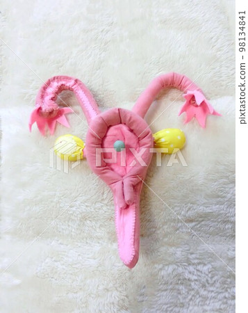 It is important to know women themselves through the womb, such as pregnancy, menstruation, and hormones. It is important to know women themselves through the womb, such as pregnancy, menstruation, and hormones. 98134841