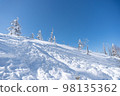 Snow-covered trees growing on a snowy mountain slope 98135362
