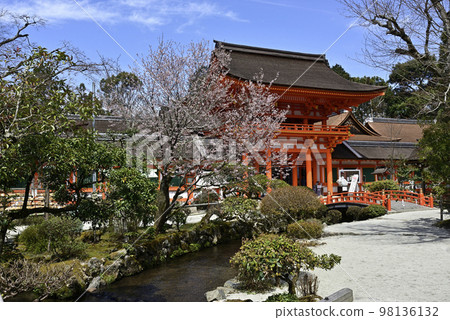 上賀茂神社(Kamowakeikazuchi Shrine)塔門(Shingu Gate)和櫻花 上賀茂神社(Kamowakeikazuchi Shrine)塔門(Shingu Gate)和櫻花 98136132