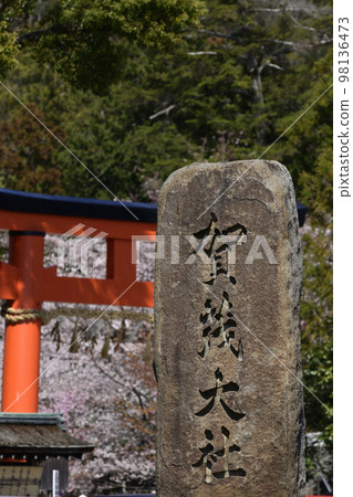 Kamigamo Shrine (Kamowakeikazuchi Shrine) Ichino Torii and Goshozakura Kamigamo Shrine (Kamowakeikazuchi Shrine) Ichino Torii and Goshozakura 98136473