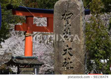 Kamigamo Shrine (Kamowakeikazuchi Shrine) Ichino Torii and Goshozakura Kamigamo Shrine (Kamowakeikazuchi Shrine) Ichino Torii and Goshozakura 98136474