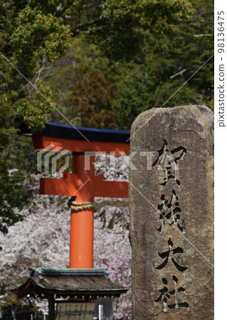 Kamigamo Shrine (Kamowakeikazuchi Shrine) Ichino Torii and Goshozakura Kamigamo Shrine (Kamowakeikazuchi Shrine) Ichino Torii and Goshozakura 98136475