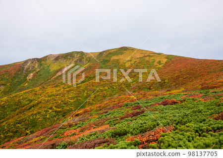 栗駒山的紅葉與神毯(宮城縣) 栗駒山的紅葉與神毯(宮城縣) 98137705