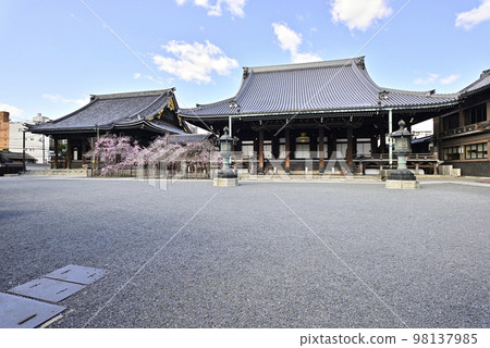 佛光寺八重紅枝櫻 佛光寺八重紅枝櫻 98137985