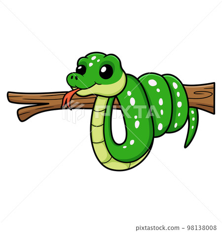 Cute green tree python cartoon on tree branch 98138008