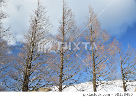 大和葛城山（雪景）[奈良縣御所市] 98138490