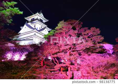 [高知縣]燈火通明的高知城樓 98138775