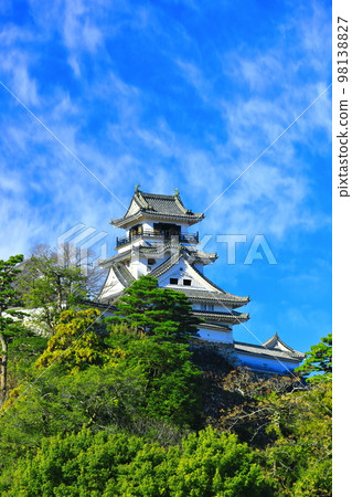 [高知縣]晴天的高知城樓 98138827