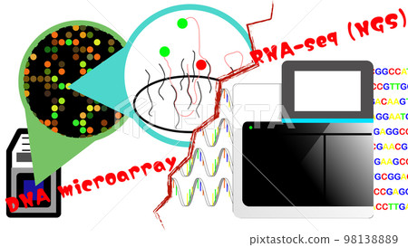 DNA 微陣列圖像和 RNA-seq 比較 98138889