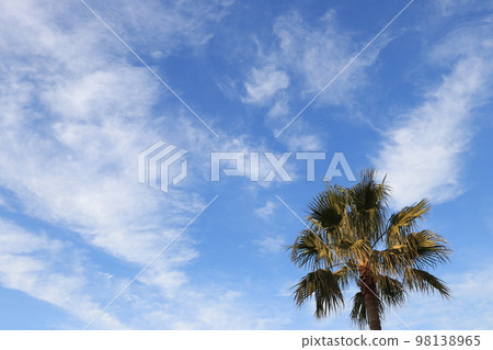 熱帶天空的圖像 98138965