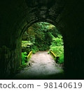 Tunnel in the forest 98140619