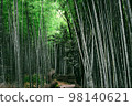  Bamboo grove 98140621