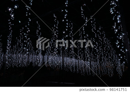 Wisteria illumination Wisteria illumination 98141751