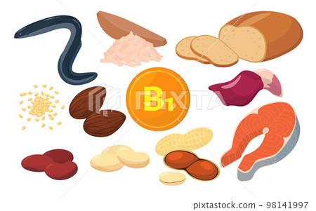 含有維生素 B1 的食物的矢量圖解。 含有維生素 B1 的食物的矢量圖解。 98141997