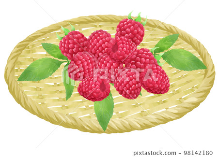 Illustration of raspberries in a colander Illustration of raspberries in a colander 98142180