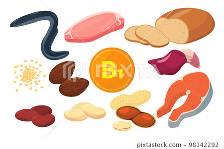 Vector illustration of food containing vitamin B1. 98142292