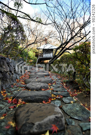 Wakayama Castle (Winter in Momiji Valley Garden) [Wakayama City, Wakayama Prefecture] 98142326