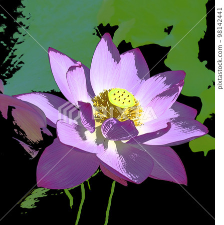 ancient lotus illustration 98142441