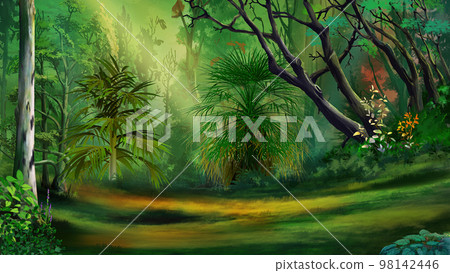 Meadow in a rainforest Illustration 98142446