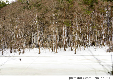冬天的豬苗代湖，福島縣豬苗代町雪林路天神浜 98143084