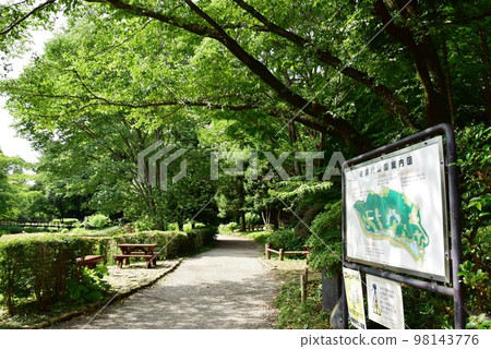 Sagamihara City, Kanagawa Prefecture Dohogawa Park walking path, park information board and fresh greenery Sagamihara City, Kanagawa Prefecture Dohogawa Park walking path, park information board and fresh greenery 98143776