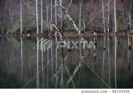Natural lake in early winter, Otaki Village, Nagano Prefecture 98144500
