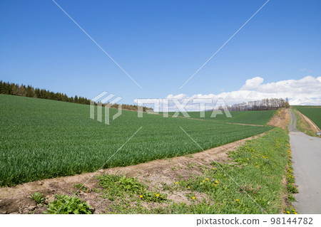 在陽光明媚的春日穿過綠色高地地區的道路 在陽光明媚的春日穿過綠色高地地區的道路 98144782