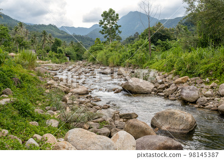 Flow of stream water from the mountain.at Promkiri, Nakhonsithammarat 98145387