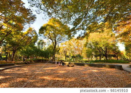 父母和孩子在公園裡玩落葉 父母和孩子在公園裡玩落葉 98145910