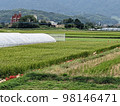 Rural scenery of Itoshima mountain village 98146471