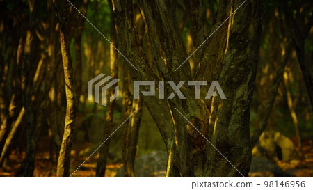 Boulders in green grass overgrown with green moss 98146956