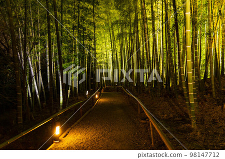 Ancient Kyoto Higashiyama Hanatouro Kodaiji Bamboo Grove Ancient Kyoto Higashiyama Hanatouro Kodaiji Bamboo Grove 98147712