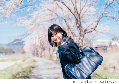 Row of cherry trees and high school students Row of cherry trees and high school students 98147938
