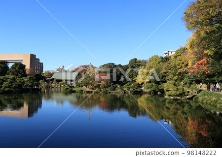 Autumn Kiyosumi Garden 98148222