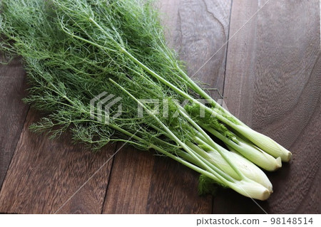 Stick fennel Stick fennel 98148514