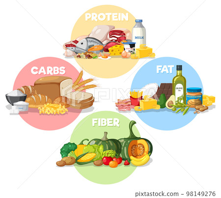 The four main food groups 98149276