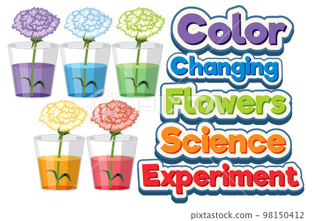 Color Changing Flowers Science Experiment Color Changing Flowers Science Experiment 98150412