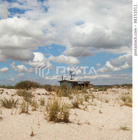 Sand dunes and a house in the foreground. Sand dunes and a house in the foreground. 98151011