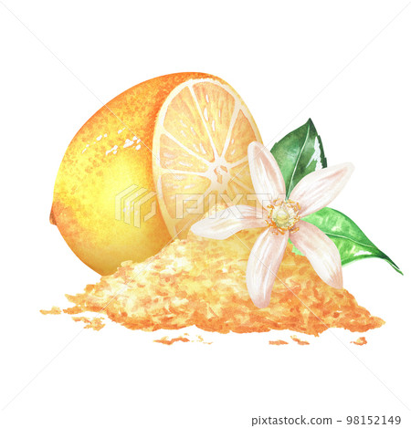 Lemon with a bunch of grated zest and citrus flower. Watercolor illustration. Isolated on a white background. For your design stickers, nature prints, product packaging with citrus acid or scent 98152149