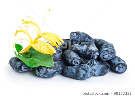 Fresh honeysuckle blue berry isolated on white background with full depth of field 98152321