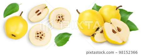 Fresh quince with half and slices isolated on the white background with full depth of field. Top view. Flat lay Fresh quince with half and slices isolated on the white background with full depth of field. Top view. Flat lay 98152366