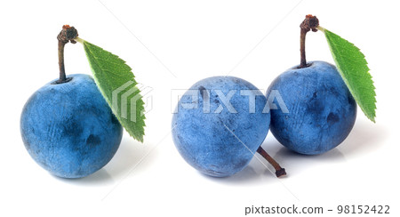 one fresh blackthorn berries with leaves isolated on white background 98152422