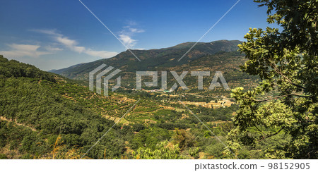 Valle del Jerte, Spain Valle del Jerte, Spain 98152905