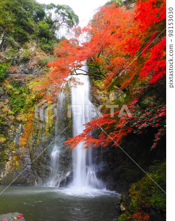 美濃瀑布（紅葉） 98153030
