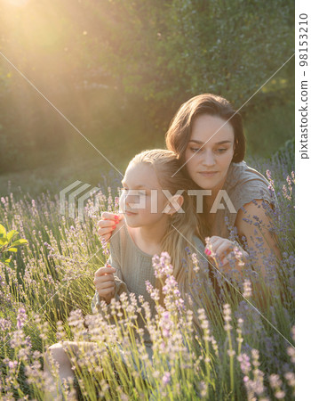 Family on the lavender field Family on the lavender field 98153210