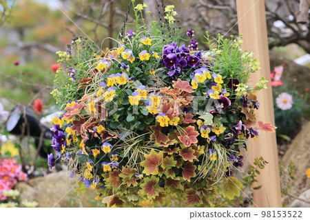 開滿花0056 開滿花0056 98153522